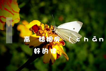 高陽婚姻房產(chǎn)律師排名(高陽比較好的律師)