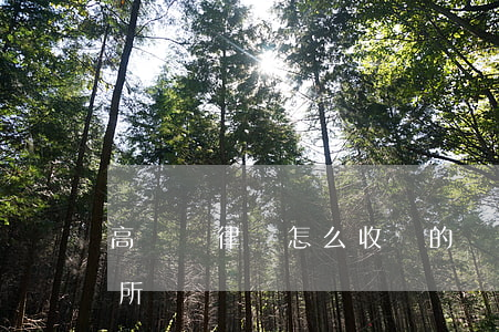 高陽縣律師怎么收費的標準(高陽縣律師事務所)