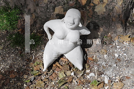 高額信用卡逾期超過(guò)3個(gè)月(三年內(nèi)信用卡逾期3次)