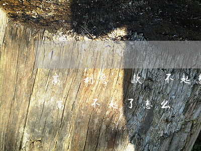 高額利息貸款還不起怎么辦-高利貸利息太高還不起了,怎么辦