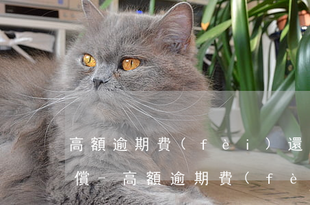 高額逾期費(fèi)還不上怎么避免被代償-高額逾期費(fèi)還不上怎么避免被代償了