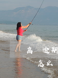 高額逾期費用能報警嗎(高額逾期費用能報警嗎怎么處理)