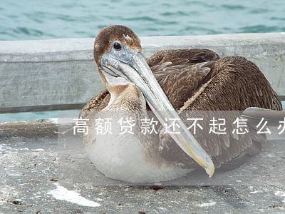 高额贷款还不起怎么办?（高额贷款还不起）