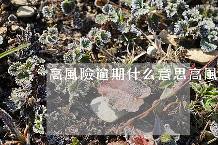 高風險逾期什么意思(高風險逾期什么意思呀)