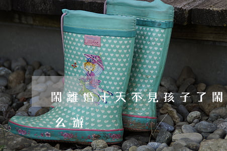 鬧離婚十天不見孩子了(鬧離婚不讓見孩子怎么辦)