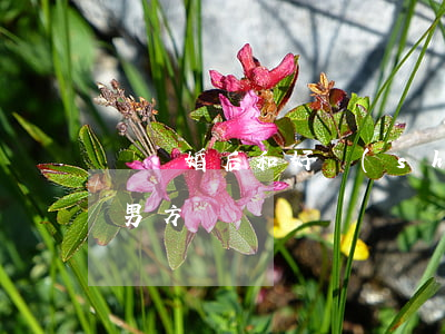 鬧離婚后和好說(shuō)不出話(離婚了男方還鬧)