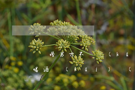 鬧離婚男方不讓開(kāi)車(chē)(喝酒開(kāi)車(chē)的男人該不該離婚)