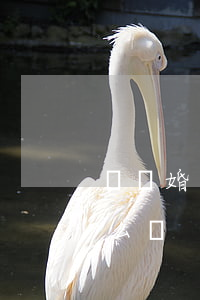鬧離婚老公催我搬東西(和老公吵架搬出來怎么辦)