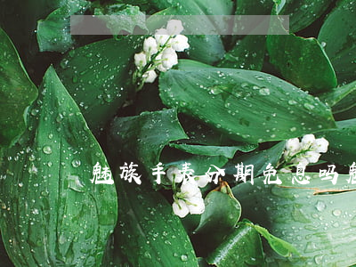 魅族手表分期免息吗(魅族手表2021)
