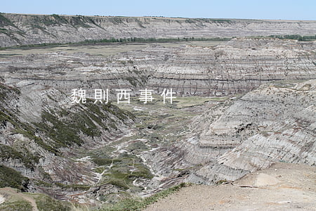 魏則西事件