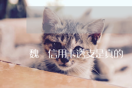 魏縣信用卡透支是真的嗎