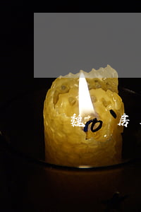 魏縣房屋出租(魏縣房屋最新出售信息)