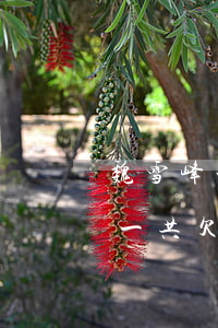 魏雪峰一共欠多少網(wǎng)貸(魏雪峰一共欠多少網(wǎng)貸)
