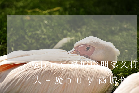 魔buy商城逾期多久打聯(lián)系人-魔buy商城倒閉了嗎還錢怎么辦
