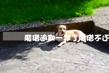 魔借逾期一年了(魔借不还会怎么样)