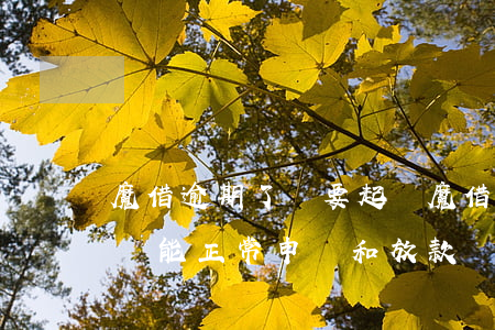 魔借逾期了說要起訴(魔借現(xiàn)在還能正常申請和放款嗎)