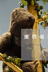 魔借逾期会起诉吗(魔借不还会怎么样)