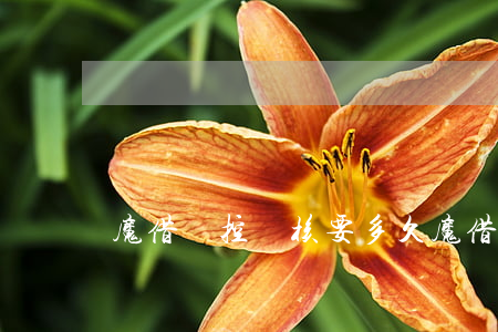 魔借風控審核要多久（魔借怎么樣審請逾期）