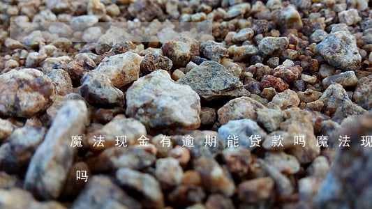 魔法现金有逾期能贷款吗(魔法现金还能下款吗)