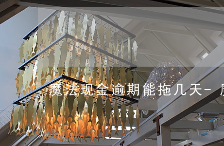 魔法现金逾期能拖几天-魔法现金还不了款