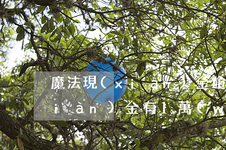 魔法現(xiàn)金逾期1天(魔法現(xiàn)金有1萬(wàn)3天還)
