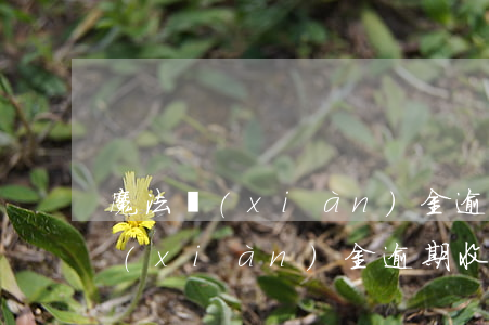 魔法現(xiàn)金逾期收律師函(魔法現(xiàn)金逾期收律師函)