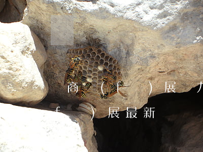 魯商發(fā)展無力償還年底-魯商發(fā)展最新