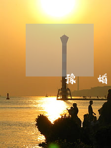 魯豫離婚原因