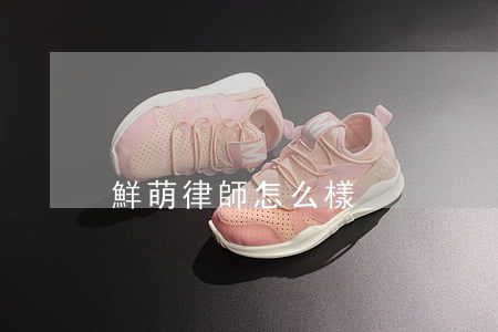 鮮萌律師怎么樣