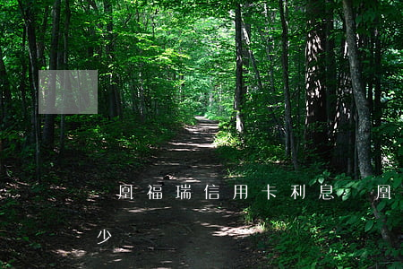 鳳凰福瑞信用卡利息(鳳凰福瑞信用卡利息多少錢)
