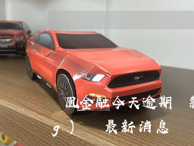 鳳凰金融今天逾期還款(鳳凰金融網(wǎng)貸最新消息)