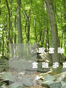 鳳凰金融網(wǎng)貸逾期怎么辦(鳳凰金融逾期后,現(xiàn)在線客服和電話都沒有人)