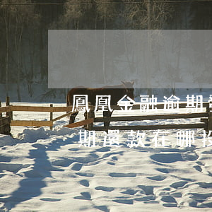 鳳凰金融逾期發(fā)律師函(鳳凰金融延期還款在哪投訴)