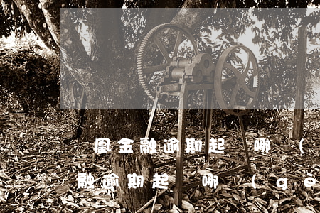 鳳凰金融逾期起訴哪個(gè)公司(鳳凰金融逾期起訴哪個(gè)公司)