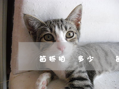 鳴笛抓拍罰多少錢(鳴笛抓拍罰多少錢)