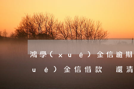 鴻學(xué)金信逾期法院起訴(鴻學(xué)金信借款沒還清)