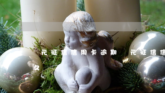 鵬元征信 信用卡逾期(鵬元征信 信用卡逾期多久)