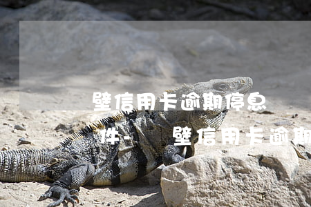 鶴壁信用卡逾期停息掛賬申請(qǐng)條件-鶴壁信用卡逾期停息掛賬申請(qǐng)條件是什么