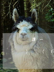 鷹潭一開發(fā)商與廣電網(wǎng)絡(luò)公司產(chǎn)生糾紛 誰(shuí)來退還業(yè)主的錢？