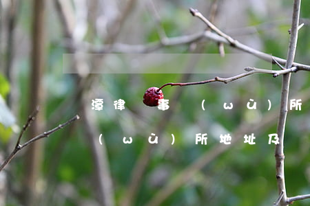 鷹潭律師事務(wù)所在哪里(鷹潭律師事務(wù)所地址及電話)
