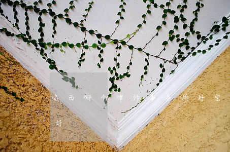鸡西哪个律师事务所好(宝鸡律师事务所哪家好)