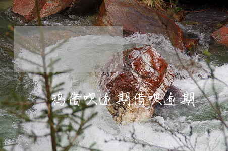 鸦借呗逾期，借呗逾期