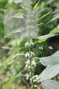 鹽城地稅網(wǎng)(鹽城稅務(wù)咨詢熱線)