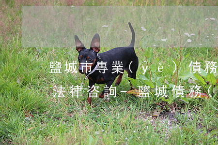 鹽城市專業(yè)債務(wù)糾紛律師法律咨詢-鹽城債務(wù)公司