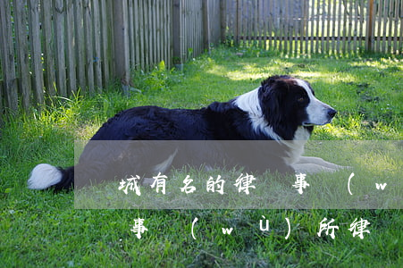 鹽城有名的律師事務(wù)所(鹽城瑞信律師事務(wù)所律師名單)