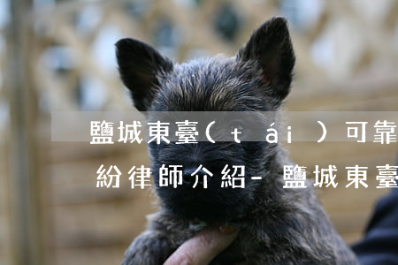 鹽城東臺(tái)可靠的債務(wù)糾紛律師介紹-鹽城東臺(tái)律師在線咨詢