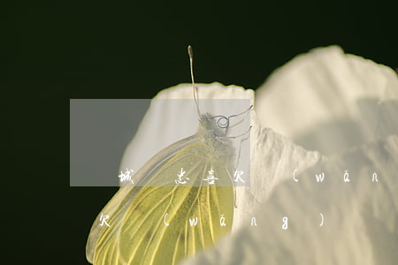 鹽城聶忠喜欠網(wǎng)貸(鹽城聶忠喜欠網(wǎng)貸)