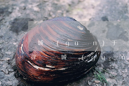 鹽城關(guān)于銀行錯為信用卡免費律師(鹽城關(guān)于銀行錯為信用卡免費律師)