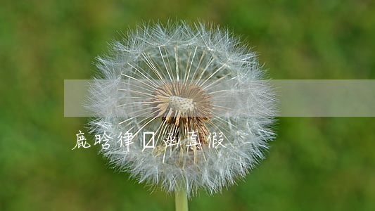 鹿晗律師函真假