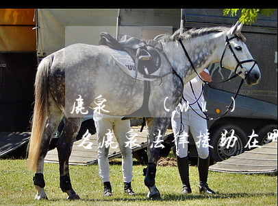鹿泉債務(wù)債權(quán)律師排名(鹿泉法律援助在哪)